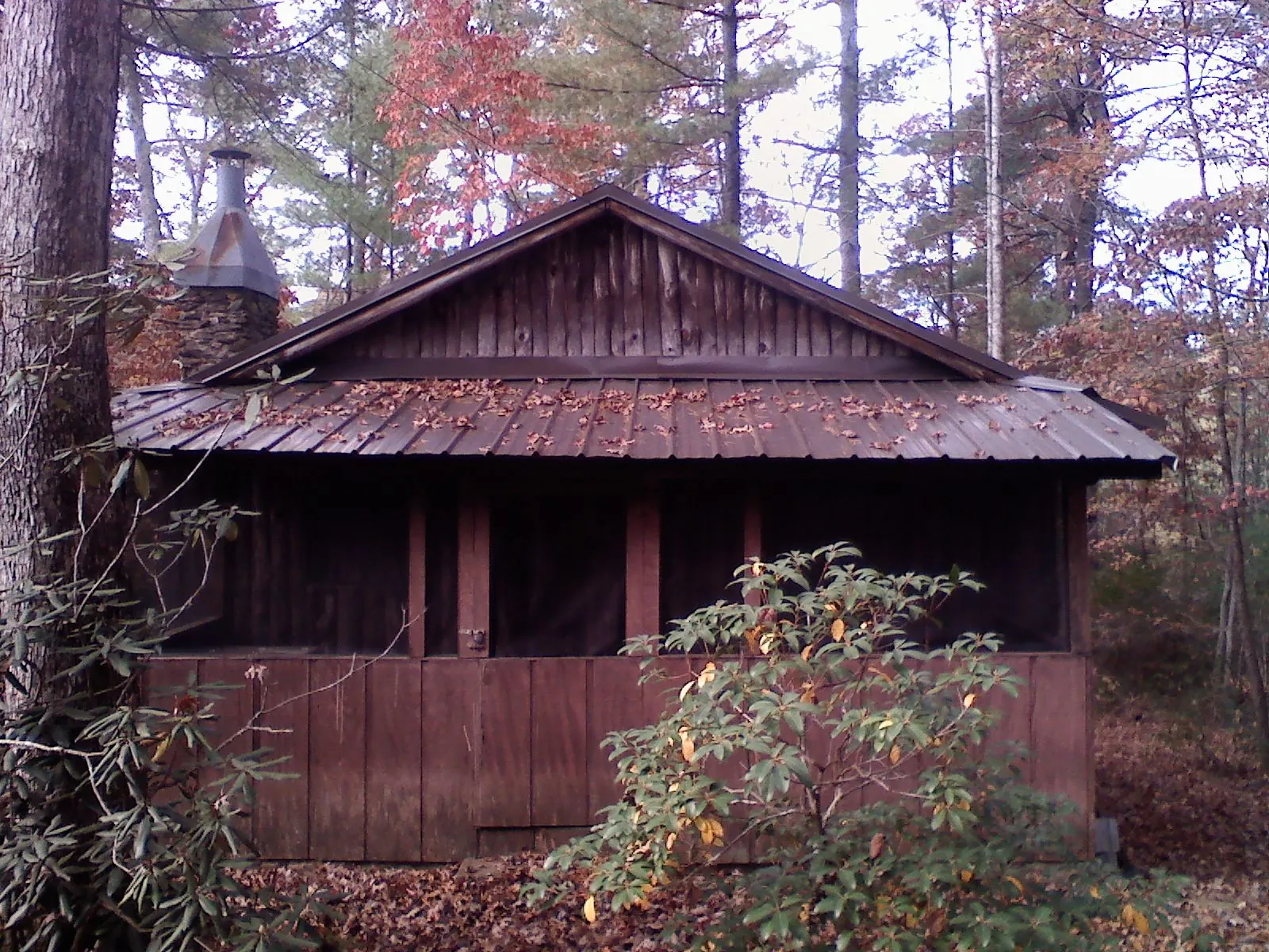Metal roof over the screened porch of a rustic cabin in Kearney